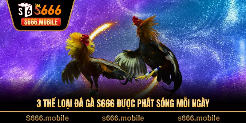 3 thể loại đá gà S666 được phát sóng mỗi ngày