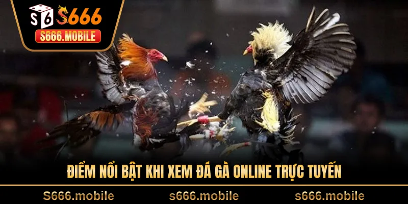 Điểm nổi bật khi xem đá gà online trực tuyến