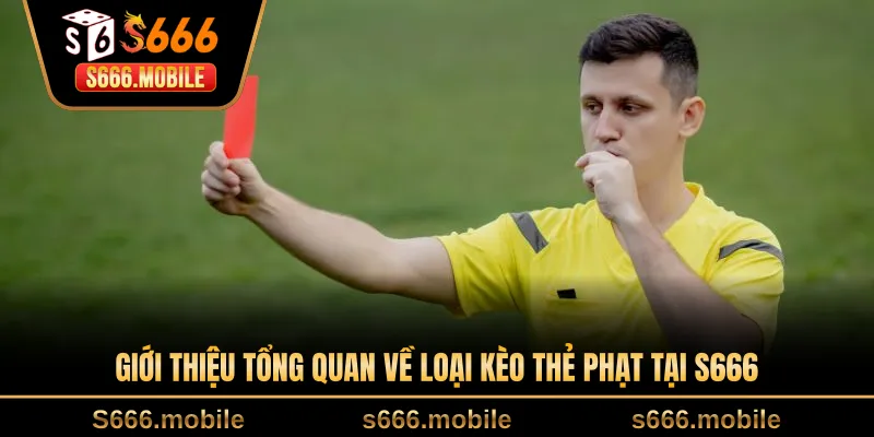 Giới thiệu tổng quan về loại kèo thẻ phạt tại S666